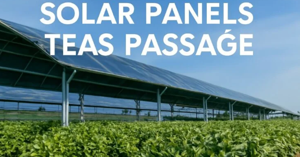 Solar Panels TEAS Passage: Understanding Renewable Energy for Exam Success