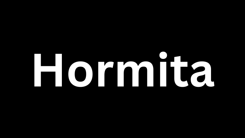 Hormita: Meaning, Background, and Emerging Online Interest